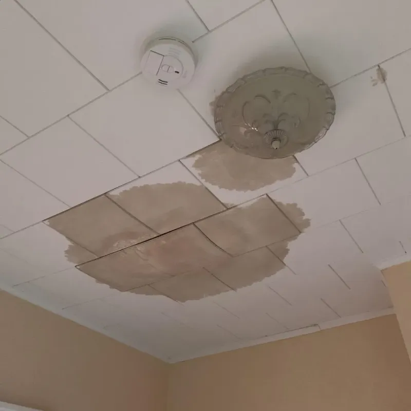 Ceiling Water Damage Repair in Jeanerette, LA